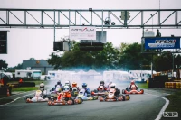 Léger aux manettes dans les manches Handikart